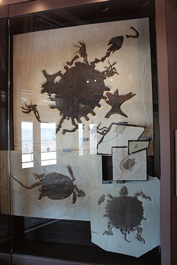 Fossil Butte National Monument